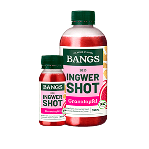 BIO Ingwer Shot Granatapfel 60ml
